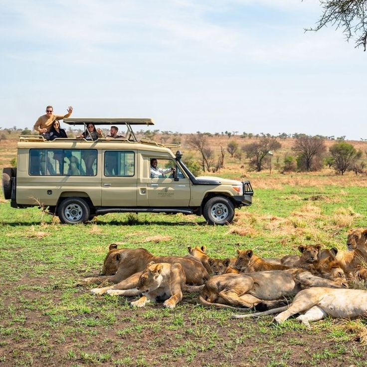 Nyota Trail Safaris