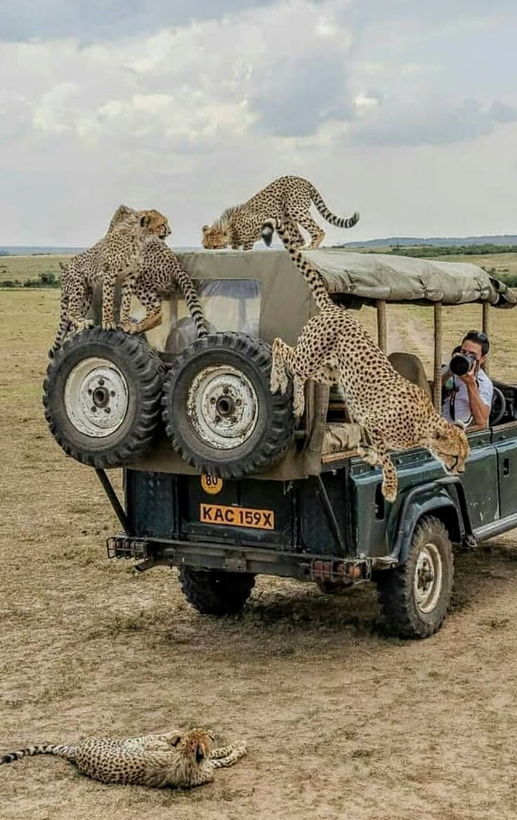 3 Days Samburu Tour